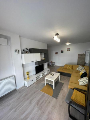 Roxi's Apartment